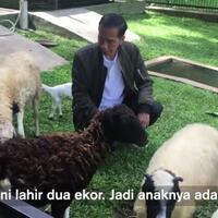 ketika-presiden-nge-vlog-kelahiran-dua-anak-kambing