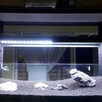 aquascape-for-everyone-learning-and-sharing---part-3