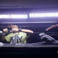 aquascape-for-everyone-learning-and-sharing---part-3