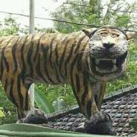 siswi-tk-asal-kediri-diserang-harimau-di-jatim-park-ini-gara-garanya