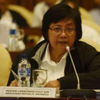 perbaikan-terumbu-karang-di-raja-ampat-butuh-puluhan-tahun