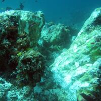 luhut-aspek-hukum-diterapkan-dalam-kasus-perusakan-terumbu-karang