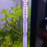 aquascape-for-everyone-learning-and-sharing---part-3