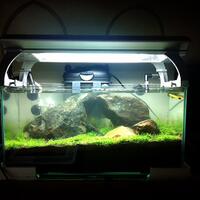 aquascape-for-everyone-learning-and-sharing---part-3