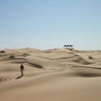 sebelum-manusia-datang-gurun-sahara-adalah-green-sahara