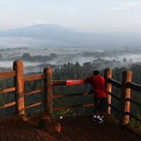 pemerintah-aktifkan-kembali-gerakan-penghijauan-hutan