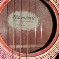 ask-membeli-senar-gitar