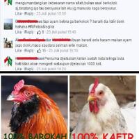 ahok-reklamasi-itu-ide-pintar-pak-harto