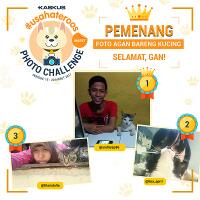 kaskus-update-foto-unik-bareng-kucing-kesayangan-dan-dapetin-jutaan-rupiah