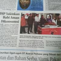 asyik-daging-babi-bali-aman-dikonsumsi-tapi