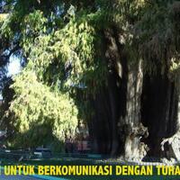 penghayat-jalin-komunikasi-dengan-tuhan-melalui-alam