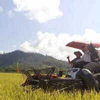 persediaan-beras-ri-diklaim-aman-hingga-2019