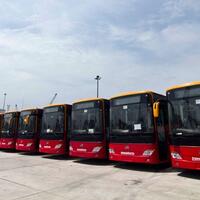 ada-20-bus-zhongthong-di-pelabuhan-tanjung-priok-ini-kata-ahok