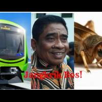 pemprov-dki-siapkan-dana-rp-11-m-untuk-revitalisasi-setu-babakan