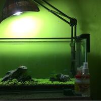 aquascape-for-everyone-learning-and-sharing---part-3