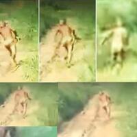 suku-mante-pernah-ditemukan-tewas-terjerat-perangkap-badak-di-leuser