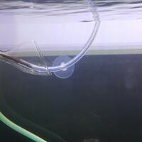 aquascape-for-everyone-learning-and-sharing---part-3