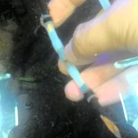 aquascape-for-everyone-learning-and-sharing---part-3