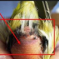 post-image