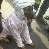 saat-kuasa-hukum-firza-husein-laporkan-inul-soal-sorban--sex-skype