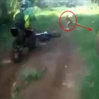 geger-suku-mante-hobbit-di-pedalaman-aceh