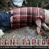 ketua-kpud-dki-akui-terima-honor-dari-tim-ahok