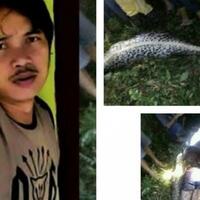 agar-tak-bernasib-seperti-akbar-ini-5-jurus-agar-bisa-lolos-saat-dililit-ular-piton