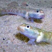 aquascape-for-everyone-learning-and-sharing---part-3