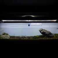 aquascape-for-everyone-learning-and-sharing---part-3
