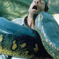 melihat-jajaran-ular-terbesar-di-dunia