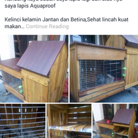 jual-beli-reg-surabaya-pasar-senggol-tjap-toegoe-pahlawan