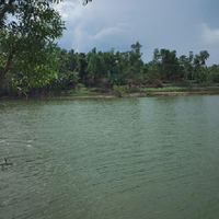 post-image