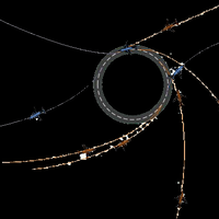 konsep-radikal-ilmuwan-bangun-bandara-dengan-landasan-tak-berujung