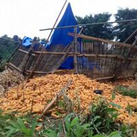 empat-petani-tewas-tertimpa-3-ton-jagung