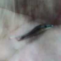 aquascape-for-everyone-learning-and-sharing---part-3