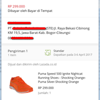 kecewa-lazada-dan-kurir-lex-promo-abal-abal-anniversary-lazada