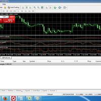 butuh-investor-forex