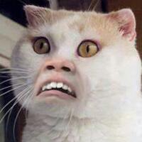 5-langkah-jitu-agar-debat-di-medsos-nggak-malu-maluin