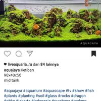 aquascape-for-everyone-learning-and-sharing---part-3