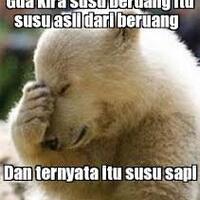 keunikan-susu-bear-brandyuk-cekk-dimari