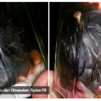 viral-penampakan-potongan-kepala-kuntilanak-dipaku-dan-dimasukan-toples