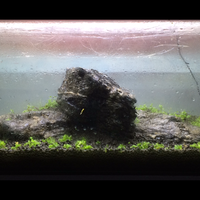 aquascape-for-everyone-learning-and-sharing---part-3