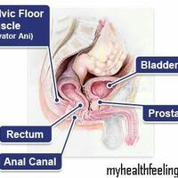 cenat-cenut-tersembunyi-itu-bernama-proctalgia-fugax