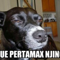 politikus-pks-rizieq-shihab-enggak-mempan-diteror