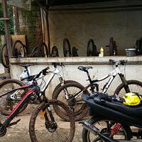 gowes-bareng-di-track-hutan-ui