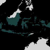 alasan-indonesia-tak-termasuk-negara-muslim-yang-dilarang-amerika-serikat