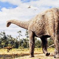 7-pertanyaan-misterius-tentang-dinosaurus-yang-tak-terjawab-ilmuwan