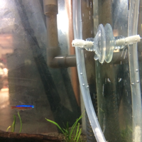 aquascape-for-everyone-learning-and-sharing---part-3