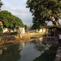 warga-ciliwung--potong--rumah-agar-tak-digusur
