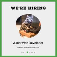 penawaran-job-project-lowongan-kerja-web-development-designer
